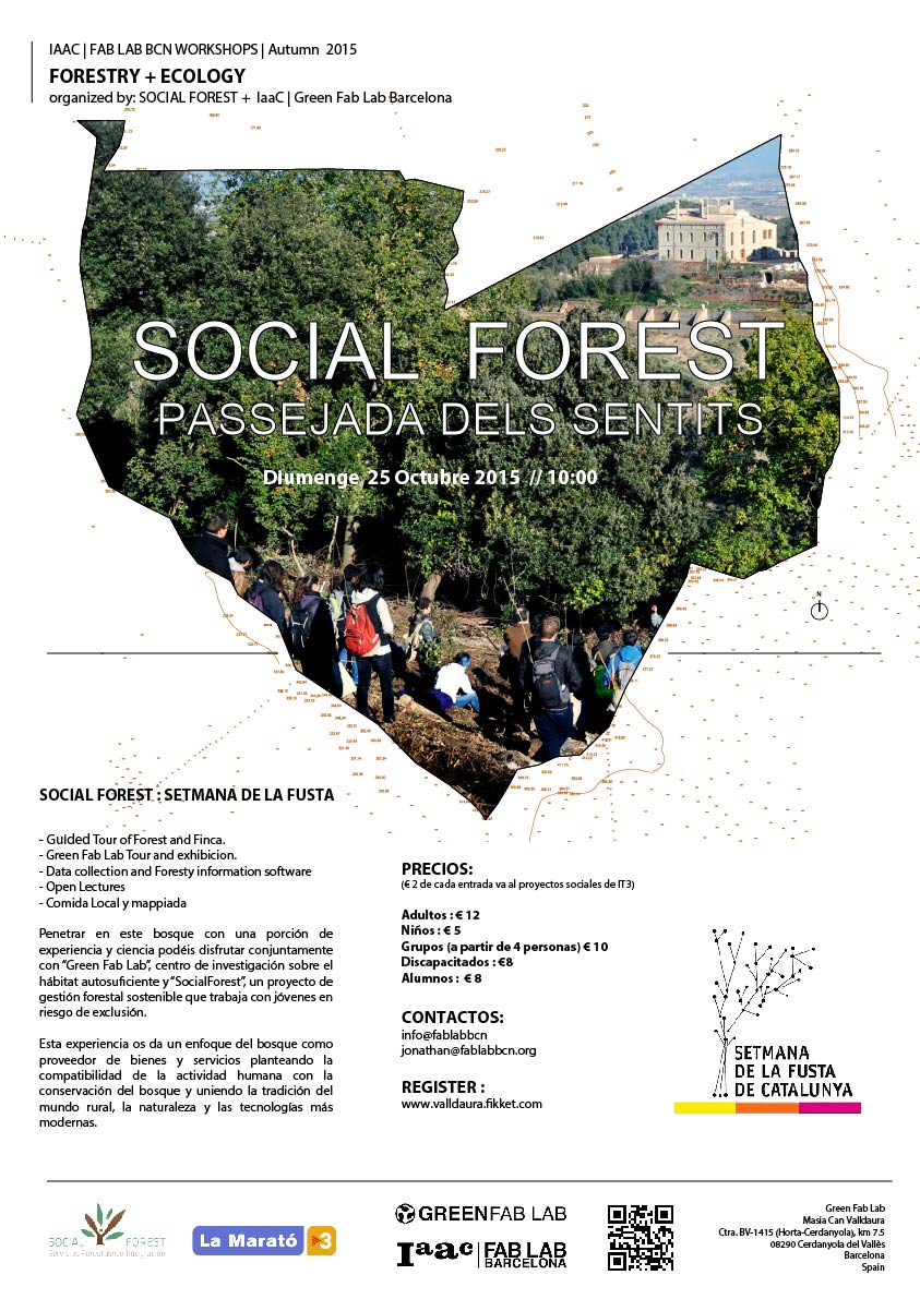 Social Forest 2015-01
